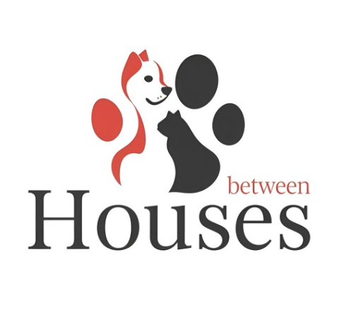 Captura de pantalla (1)